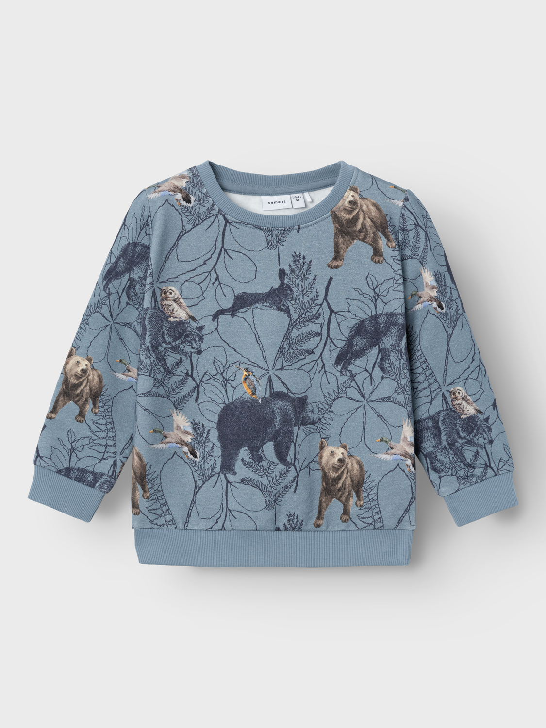 NMMOLERT Sweatshirts - Citadel