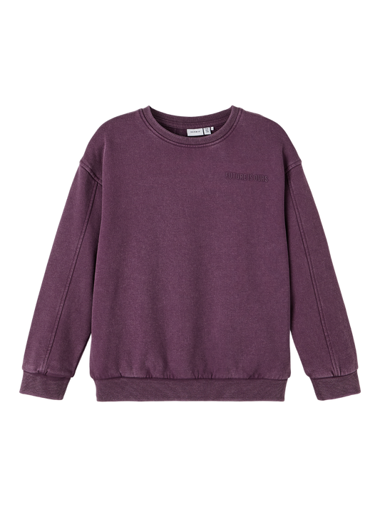 NKMOKADI Sweatshirts - Prune Purple